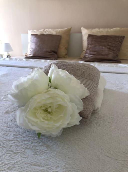 Bird View Apartment Carlissima Trogir Bagian luar foto